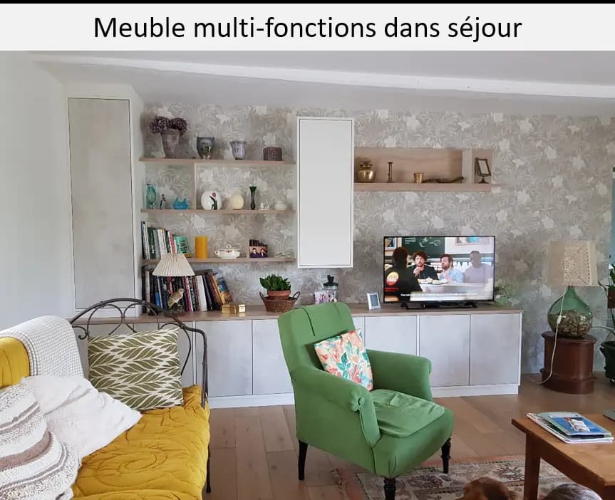 Meuble salle de vie